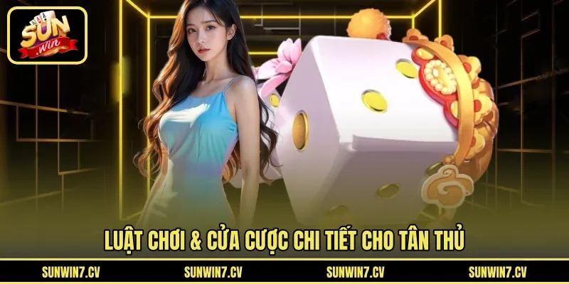 Luật chơi & cửa cược chi tiết cho tân thủ