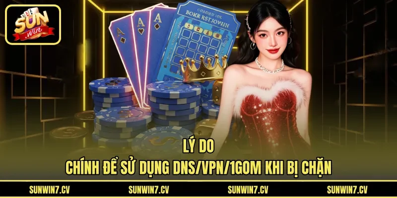 Lý do chính để sử dụng DNS/VPN/1Gom khi bị chặn