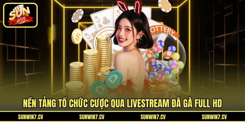 Nền tảng tổ chức cược qua livestream đá gà full HD