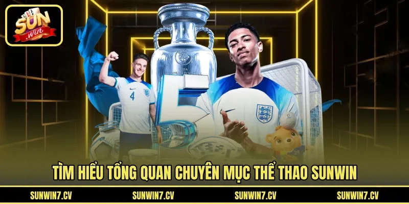 Tìm hiểu tổng quan chuyên mục thể thao Sunwin