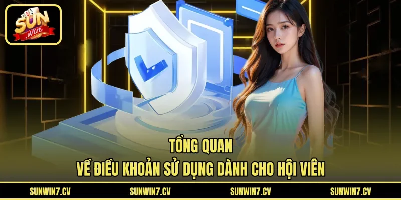 Tổng quan về điều khoản sử dụng dành cho hội viên